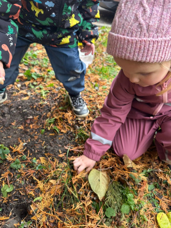 Společné sázení darovaných krokusů od našeho města :-).